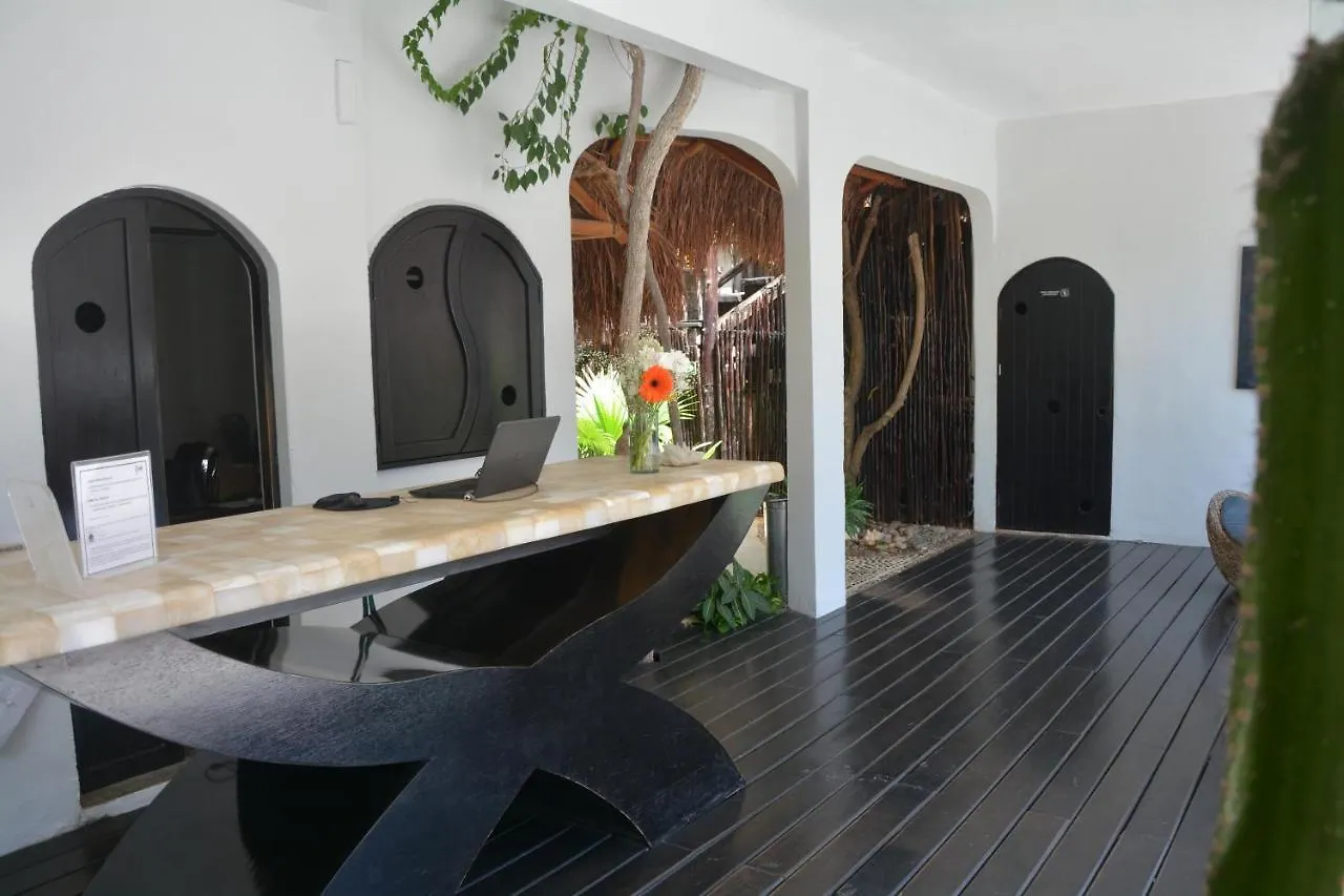 ****  Hotel Kinbe - Few Steps From 5Th Avenue And The Beach Playa del Carmen Mexique