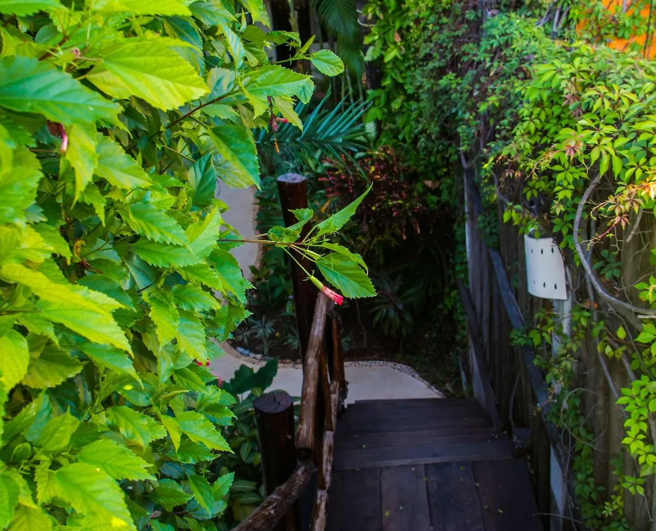 Hotel Kinbe - Few Steps From 5Th Avenue And The Beach Playa del Carmen