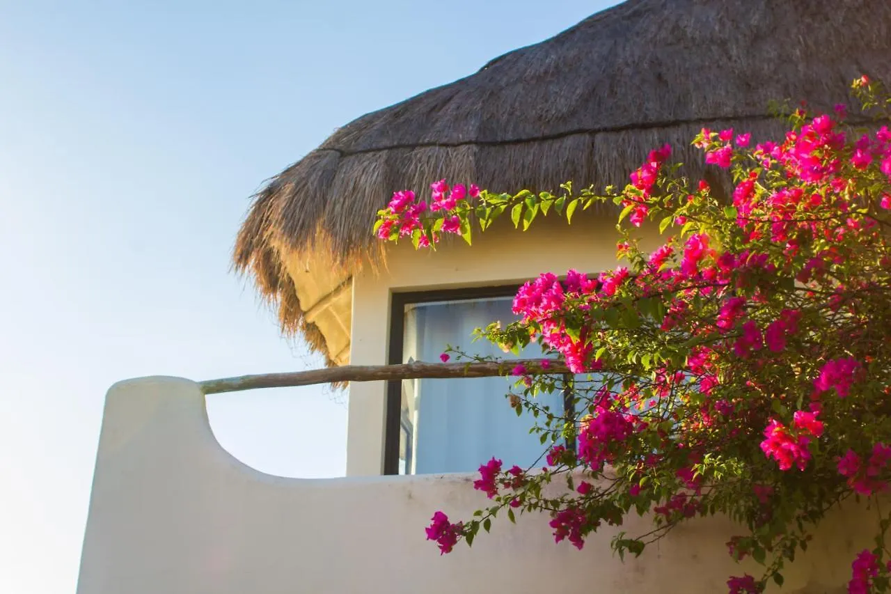 Hotel Kinbe - Few Steps From 5Th Avenue And The Beach Playa del Carmen