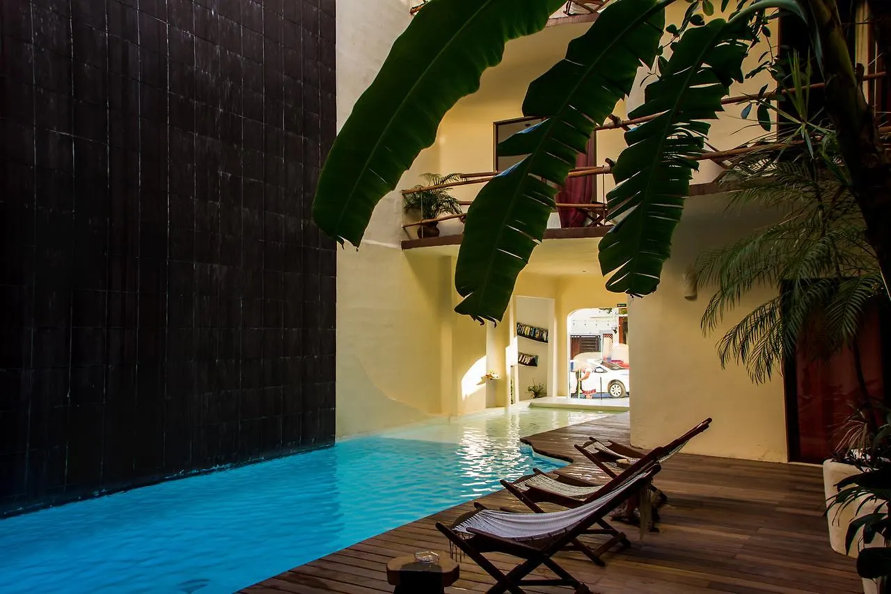 Hotel Kinbe - Few Steps From 5Th Avenue And The Beach Playa del Carmen